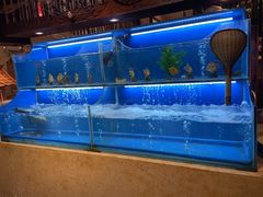 水产区-芭菲盛宴·环球美食(北城国际店)