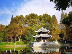 -习家池
