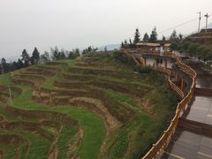 -紫鹊界梯田景区