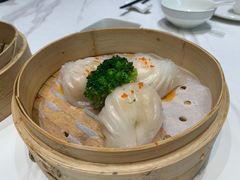 -丁老爷子苏香圆