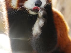 -水上乐园·欢乐世界