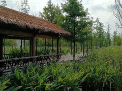 -南北湖风景区