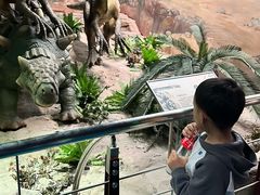 -国家自然博物馆