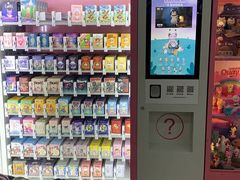 -厦门邮轮中心厦鼓码头(轮渡站)