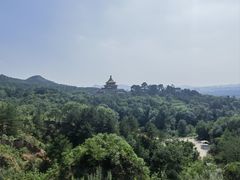 -磬锤峰森林公园