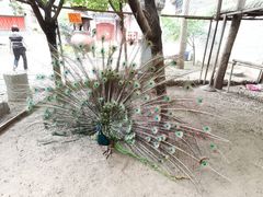 -罔极寺