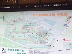 -上海长兴岛郊野公园