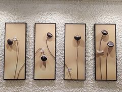 -嘉慧女子水汇