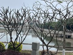 -集美学村