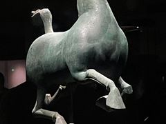 -甘肃省博物馆