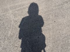 -重庆市奥林匹克体育中心-游泳跳水馆