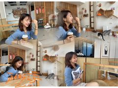 -Catmate·猫肥家润(金润铂宫店)