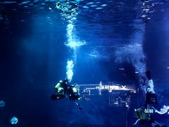 -烟台海昌鲸鲨海洋公园