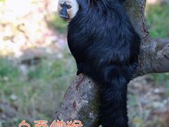 -红山森林动物园