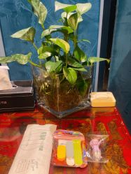 -悦指间美甲美睫