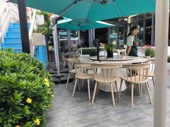 -春天里餐厅·云南创意菜特色美食(束河店)