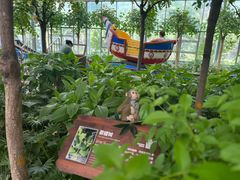 -南宫五洲植物乐园