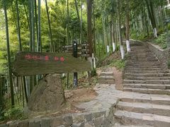 -莫干山风景区