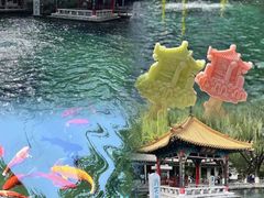 -趵突泉景区