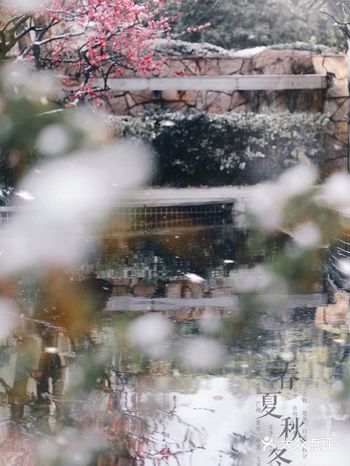 炫耀一下咱家的神仙小区