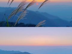 -大围山国家森林公园