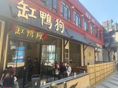 -缸鸭狗(天一广场店)