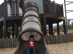 -上海长兴岛郊野公园