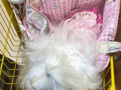 -帕帕拉兹宠物(亚洲旗舰店)