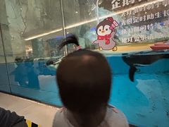 -帝企鹅自助餐厅•儿童岛•真企鹅(长隆企鹅酒店)