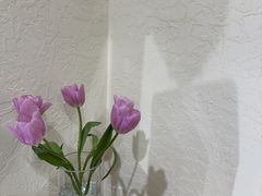 -争渡心理咨询全国连锁(福田店)