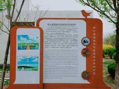 -南大港湿地风景区