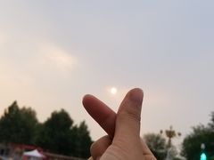 -山东理工大学
