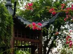 -大渡口区义渡公园