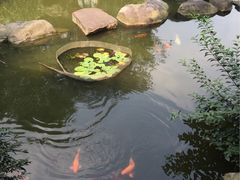 -杭州世外桃源君澜度假酒店