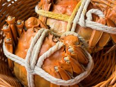 -蟹村草堂·苏式园林人文农家·大闸蟹