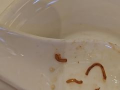 -皇朝尊会(龙之梦大酒店)