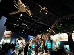 -国家自然博物馆