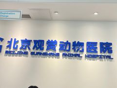-北京观赏动物医院·24小时大型综合·猫专科·异宠专科