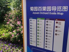 -菊园百果园