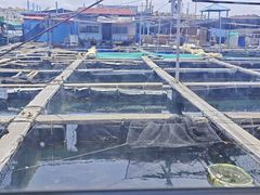 -蓝湾碧波·老字号·疍家非遗海上餐厅