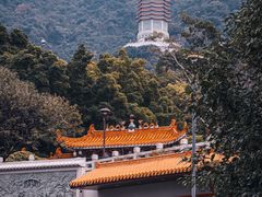 -深圳仙湖植物园
