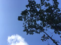 -紫鹊界梯田景区