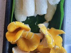 -木王宴语·野生鲜菌火锅(玉河店)