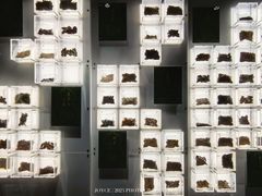 -广东中医药博物馆