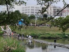 -坪山湿地公园