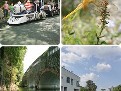 -中国科学院华南植物园
