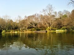 -上海滨江森林公园