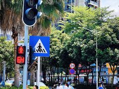 -深圳市坪山区中山小学