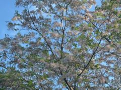 -白塘生态植物园