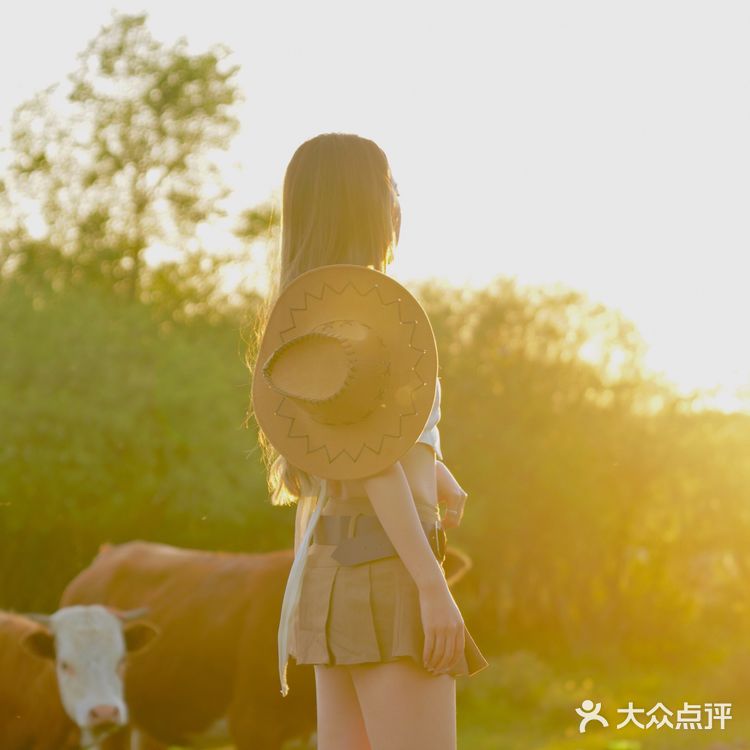北京周末周边游｜京北第一天路草原攻略